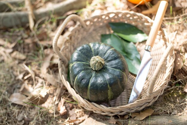 Pumpkin and knife inside the basket