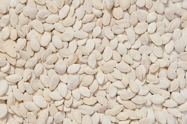 Pumpkin seeds background