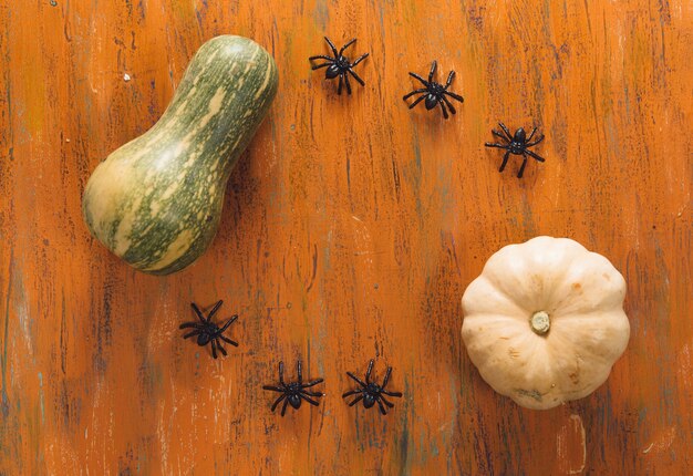 Pumpkin squash and spiders on table