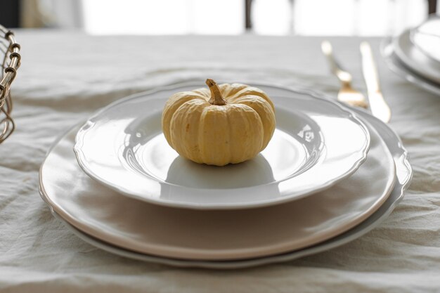 Pumpkin on white plate autumnal composition in daylight