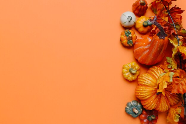 Pumpkins and autumn leaves with copy space in the left