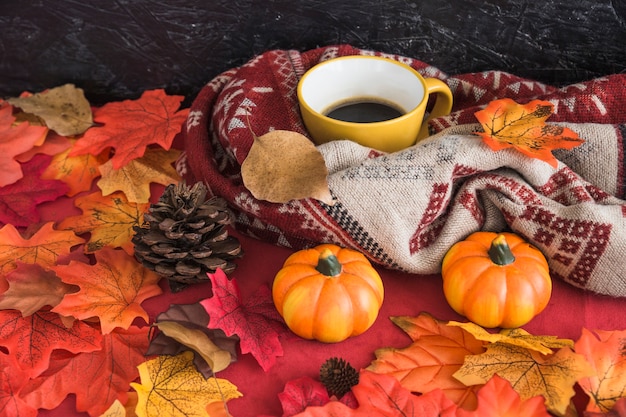 Pumpkins and cone near blanket and drink