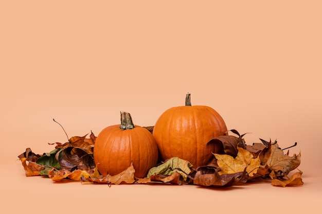 Pumpkins decorated with dry maple leaves