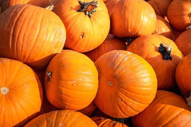 Pumpkins of different sizes stacked on top of each other