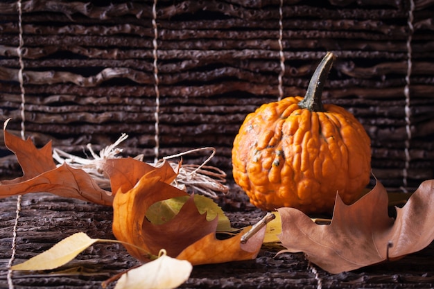 Free photo pumpkins and dried leaves