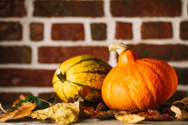 Pumpkins and dry leaves