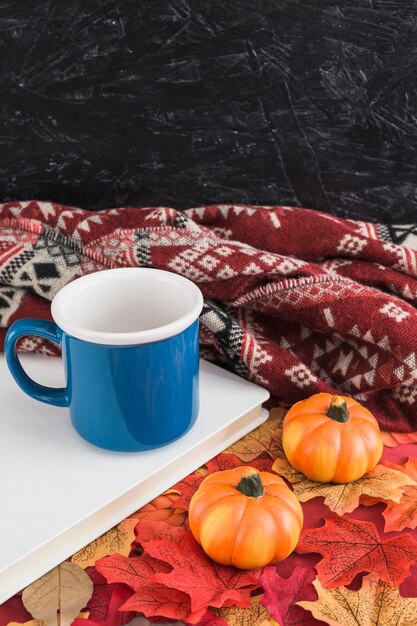 Pumpkins and mug near blanket