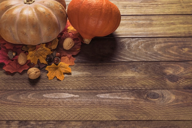 Pumpkins and nuts on leaves