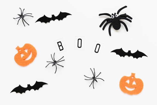 Pumpkins spiders bats and text boo on white background halloween flat layout holiday concept