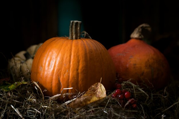 Pumpkins on straw