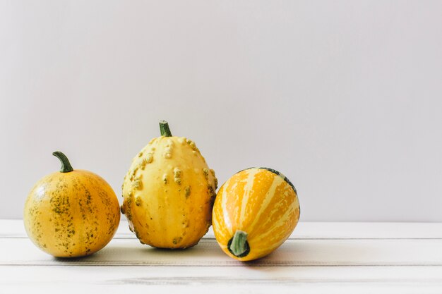 Pumpkins on white