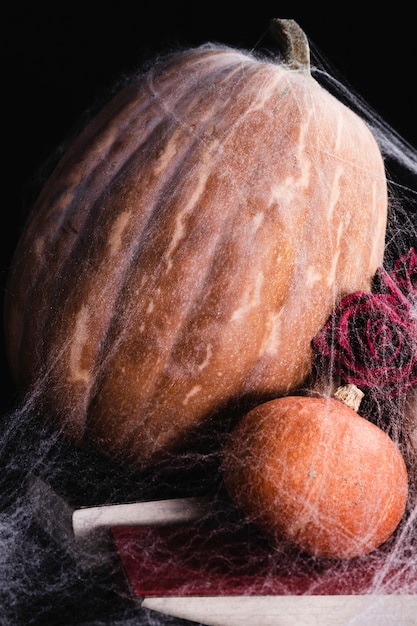 Pumpkins with spider web and roses