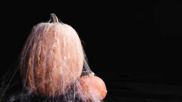 Pumpkins with spiderweb on black background