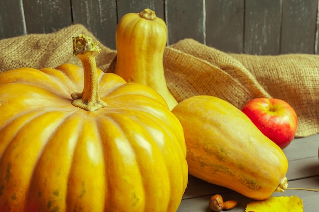 Pumpkins on wooden board