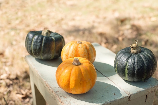 Pumpkins on wooden table outdoors