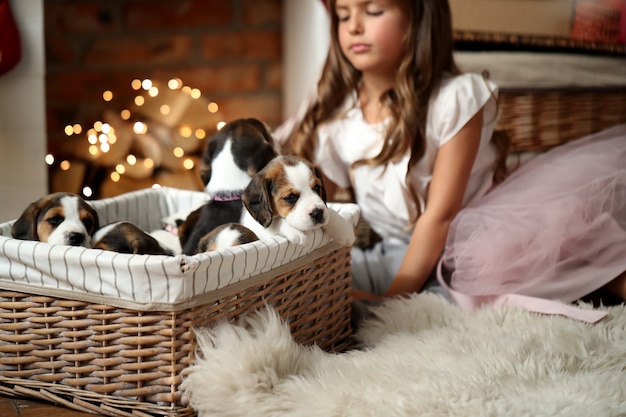 かごの中の子犬