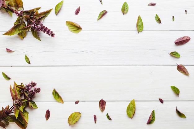 Purple blooming plants and leaves