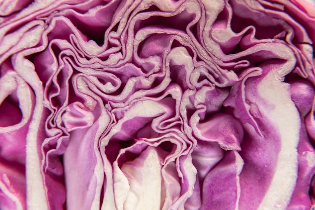 Purple cabbage on the table