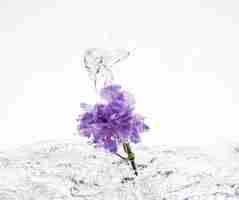 Foto gratuita garofano viola che cade nell'acqua