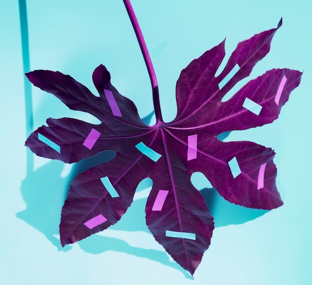 Purple chestnut leaf with stationery colourful items