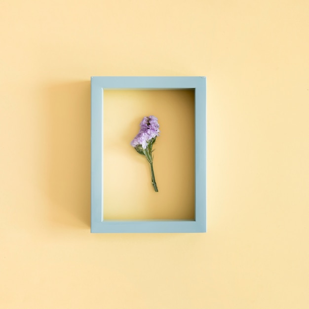 Free photo purple flower in blue frame