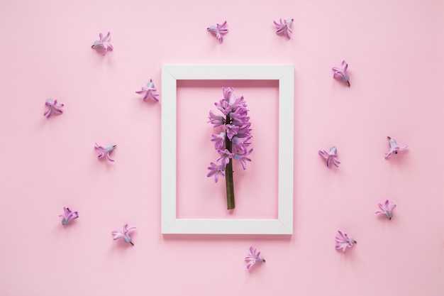 Purple flower branch in frame on table