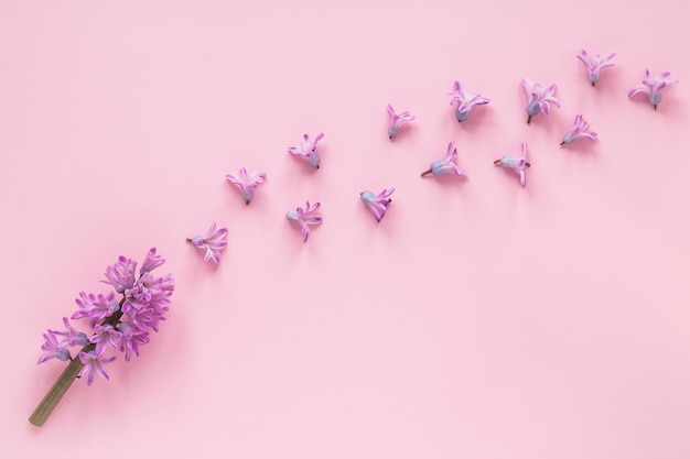 Purple flower branch with small buds on table