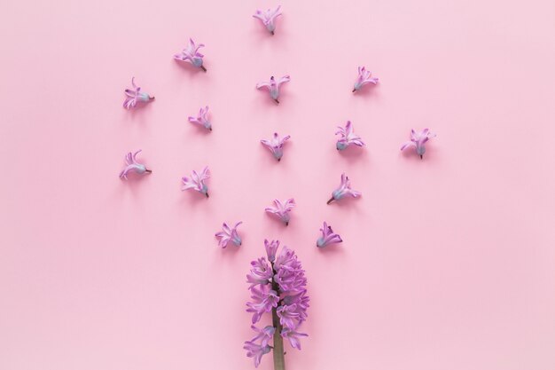 작은 꽃 봉 오리와 보라색 꽃 지점