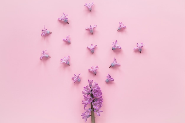 Purple flower branch with small buds 