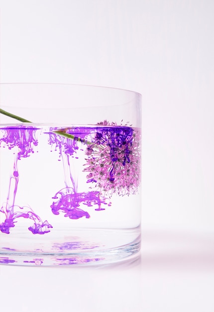 コップ一杯の水の中の紫色の花