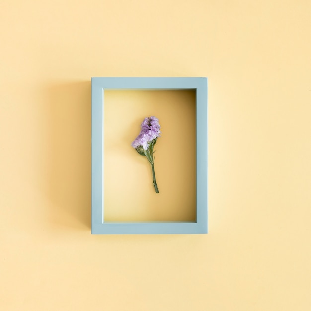 Бесплатное фото Фиолетовый цветок в синей рамке