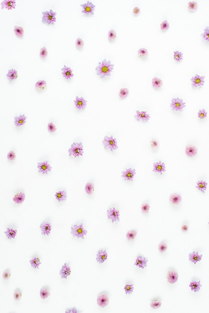 白い背景に紫色の花のパターン