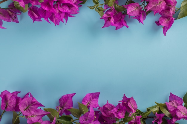 Бесплатное фото Фиолетовый цветок с копией пространства на синей поверхности