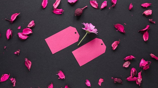 Foto gratuita fiore viola con piccole carte sul tavolo