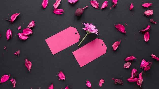 Purple flower with small papers on table