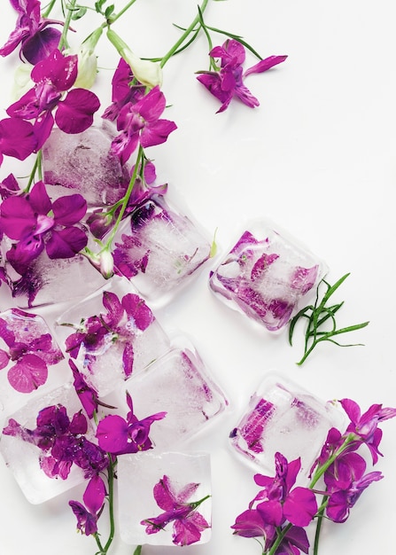 Free photo purple flowers in cubes of ice