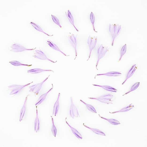 Foto gratuita disegno di fiori viola su sfondo bianco