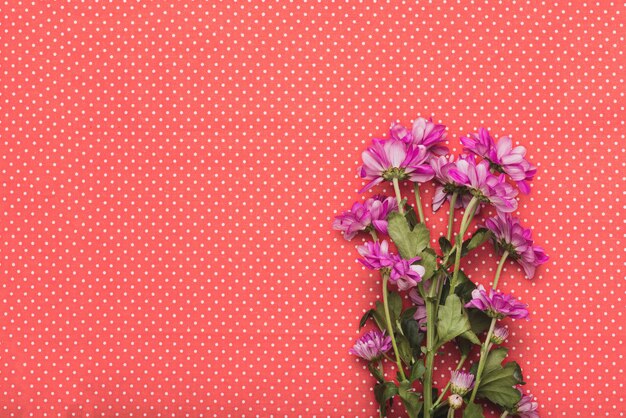 Purple flowers on dotted background