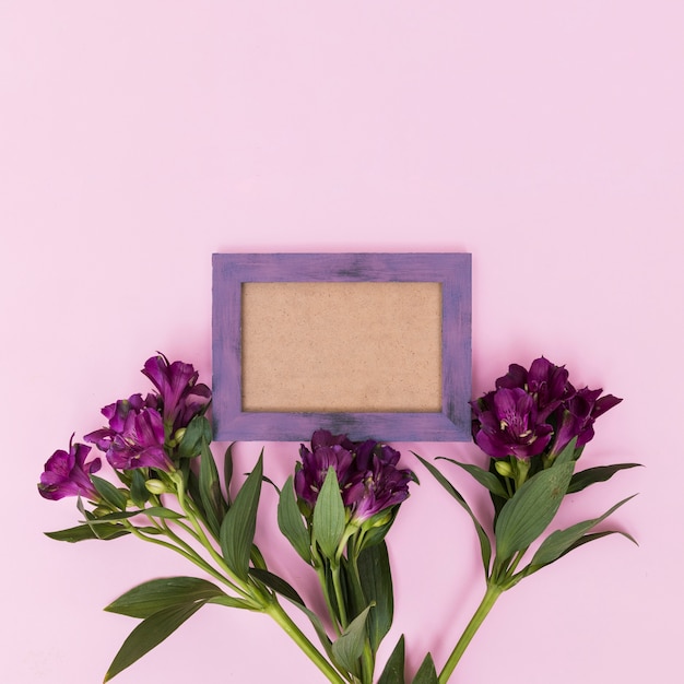 Free photo purple flowers and frame