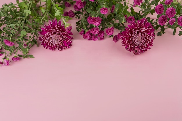 Фиолетовые цветы разбросаны на розовом столе