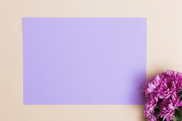 Purple flowers and sheet of paper