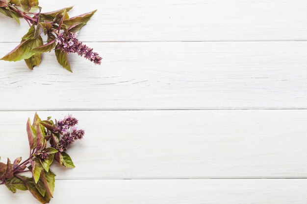 Purple flowers on wooden table