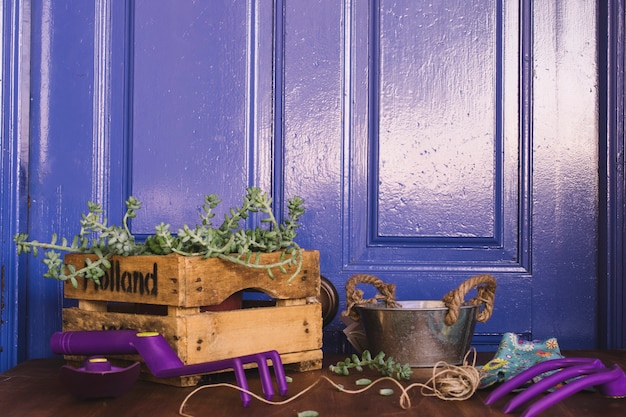 Фиолетовый садоводческий состав