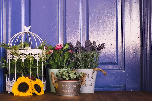 Foto gratuita concetto di giardinaggio viola con piante