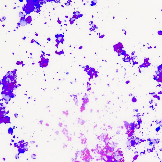 Purple holi color powder on white background