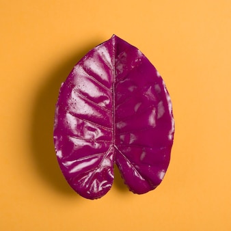 Фиолетовый лист на оранжевом фоне