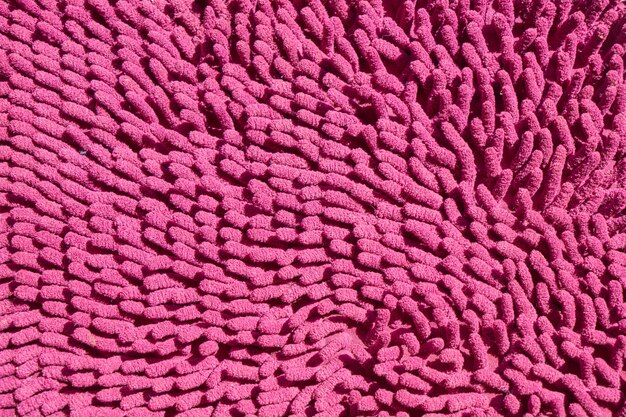 фиолетовый макро розовый подробно крупным планом