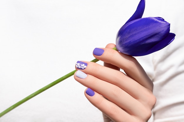 Фиолетовый дизайн ногтей. Женская рука с фиолетовым маникюром держит цветок тюльпана