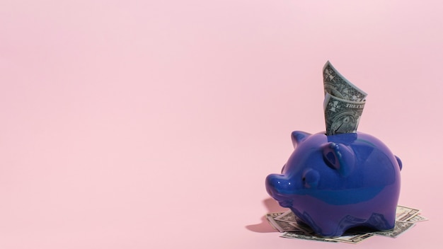 Purple piggy bank with copy space