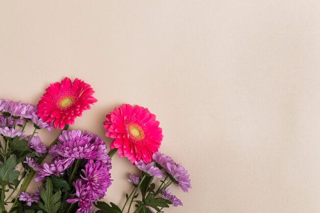 ベージュの背景に紫と赤の花